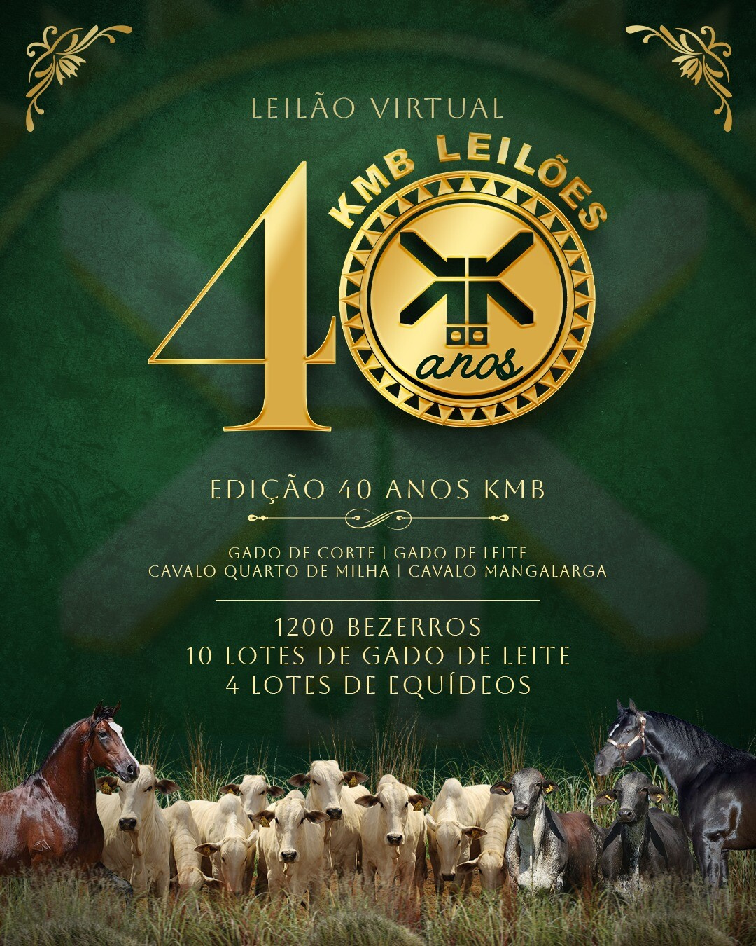 Leilão Virtual KMB Edição 40 anos