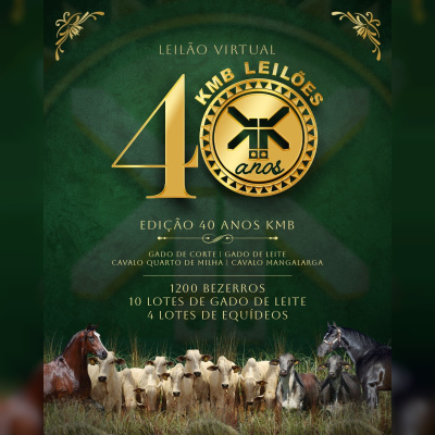 Leilão Virtual KMB Edição 40 anos